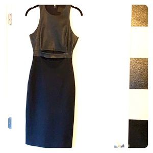 Cushnie et Ochs Leather Detail Cutout Dress